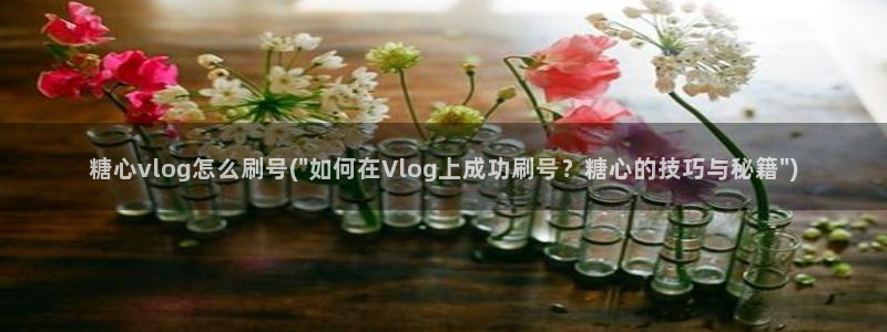 糖心vlog哪里充值