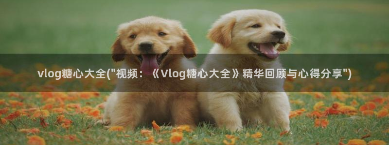 糖心vlog博客