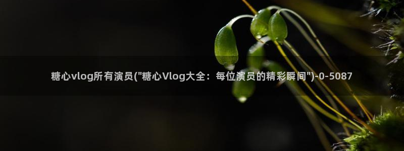 糖心vlog无限看