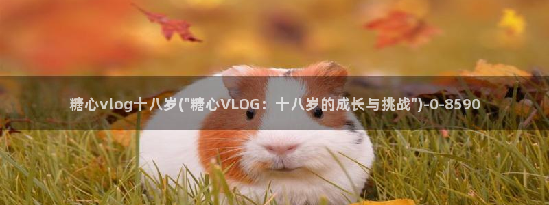 糖心vlog柚子猫免费