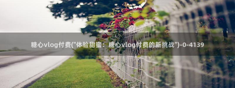 糖心vlog小e