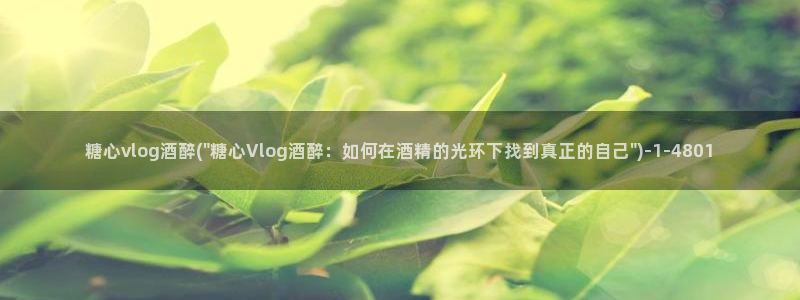 糖心旧版vlog