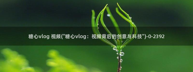 糖心新品vlog