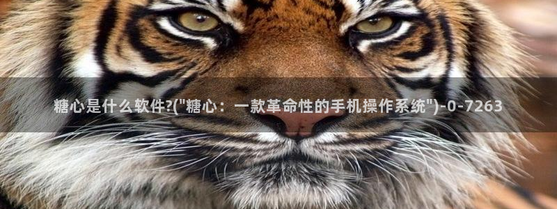 糖心vlog啊啊啊