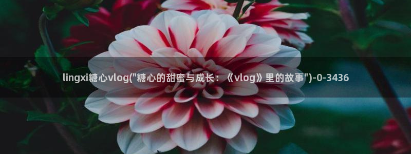 糖心vlog在线播放