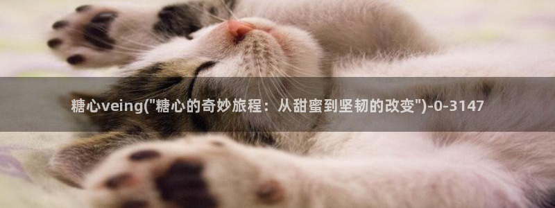 糖心vlog苏小涵