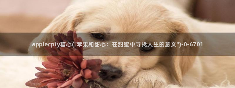 糖心vlog小桃视频