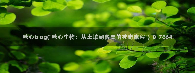www.糖心vlog.com