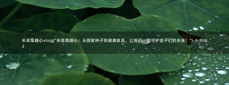 糖心vlog免费入口