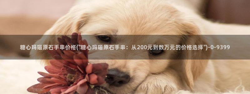 糖心破解版vlog