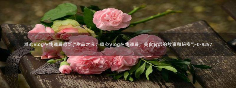 糖心vlog最新版