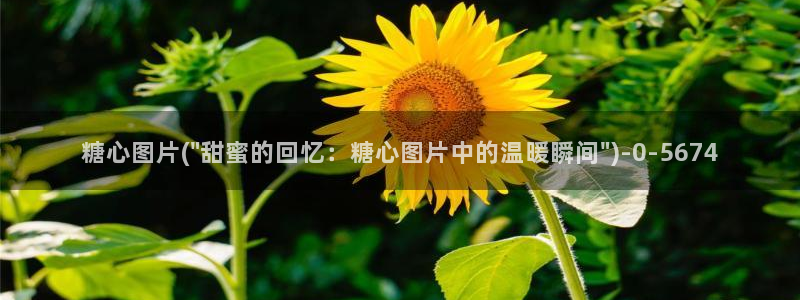 糖心vlog入口免费